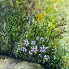A sunlit summer glade with purple flowers in the forest wood among the grass and branches. Hand drawn watercolor background illustration art. - 666858296