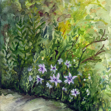 A sunlit summer glade with purple flowers in the forest wood among the grass and branches. Hand drawn watercolor background illustration art.