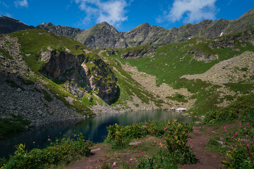 View of the Dukka lake "Rybka" on the Malaya Dukka River on the slopes of the Arkasar ridge in the North Caucasus on a sunny summer day, Arkhyz, Karachay-Cherkessia, Russia © Ula Ulachka
