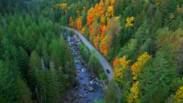 Top down view of cars driving along the road among the autumn forest