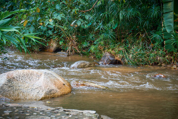 Natural water stream and rocks