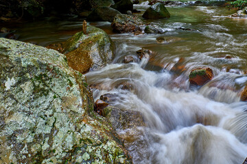 Natural water stream and rocks