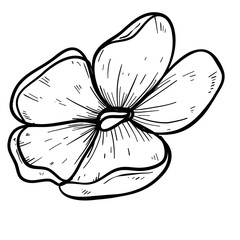 flower handdrawn illustration 