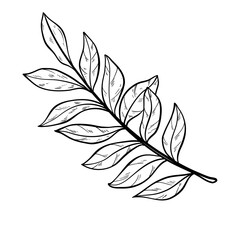leaf intricate design handdrawn illustration 