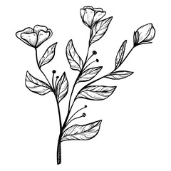 flower with leaf handdrawn illustration 