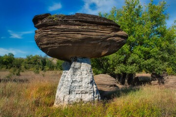 Unique mushroom rock in Mushroom Rock State Park, stands alone in a lush green grass field - Powered by Adobe