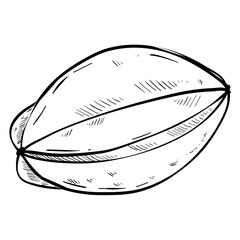 star fruit handdrawn illustration 