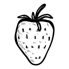 strawberry fruit handdrawn illustration 