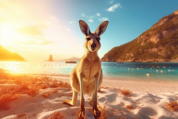 kangaroo enjoying seaside. Generative AI