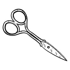 scissor tailor equipment handdrawn illustration 