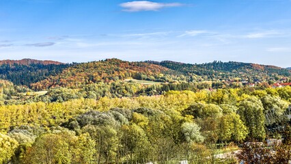 view of autumnal forest and meadows in mountains, Sanok, Poland