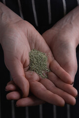A woman's hand is seen holding a small pile of dried oregano.