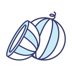 Watermelon icon vector sign and symbol on trendy design for design and print.