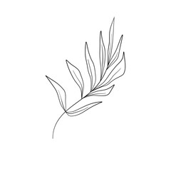 leaf handdrawn illustration 