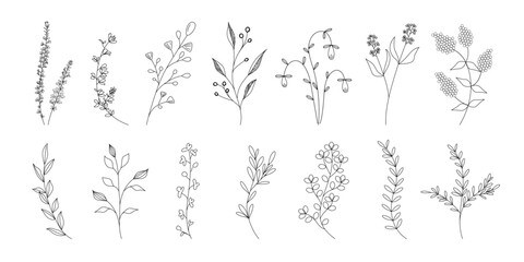植物のシンプルイラストのセット、野の花、野の葉、ボタニカル