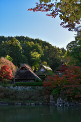 紅葉に包まれた合掌造り
