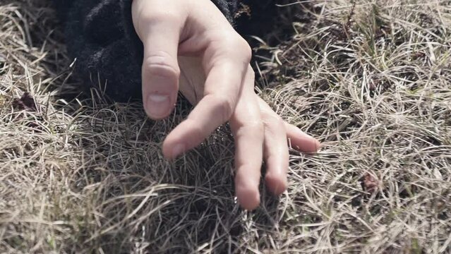 Close-up of a woman's hand sensually touching grass (slow motion)