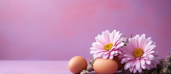 Fototapeta na wymiar High quality photo of a simple arrangement with eggs flower and pink background in an Easter postcard concept