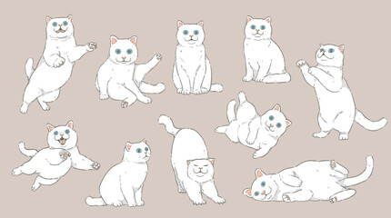 Cute Cartoon white Cat set	