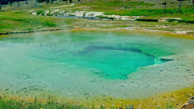 Steam Rises From A Boiling Hot water Spring In Yellowstone National Park Wyoming Usa