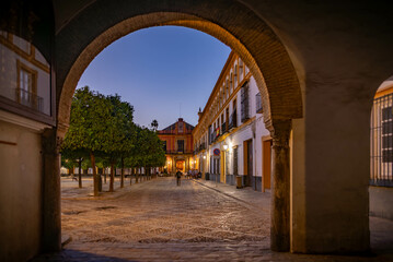 Fototapeta premium Edificios en el centro de Sevilla nuevo perfil de la ciudad patrimonio de la humanidad