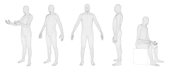 Wireframe human body. Polygonal 3D mesh male character, man dummy hologram grid and virtual reality cyber human model. Vector set with editable stroke paths