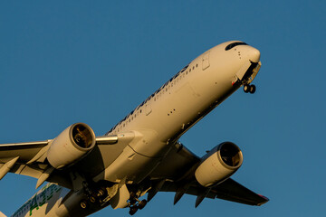 夕方に離陸していく飛行機