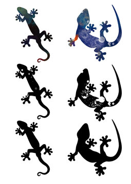 ヤモリのイラスト素材