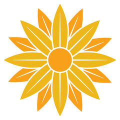 yellow flower blossom