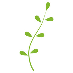 green leaves nature plant