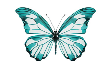 Stunning 3D Glasswing Butterfly on Transparent background