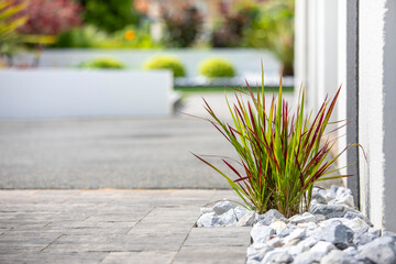 Aménagement paysagé à base de plante et de pierre dans le jardin d'un paysagiste.