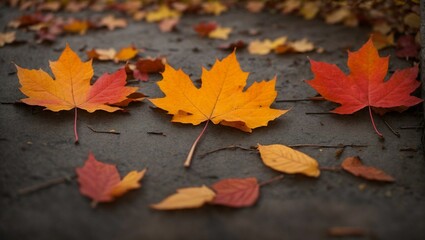 Naklejka na ściany i meble AI generated illustration of beautiful yellow autumn leaves fallen on the ground