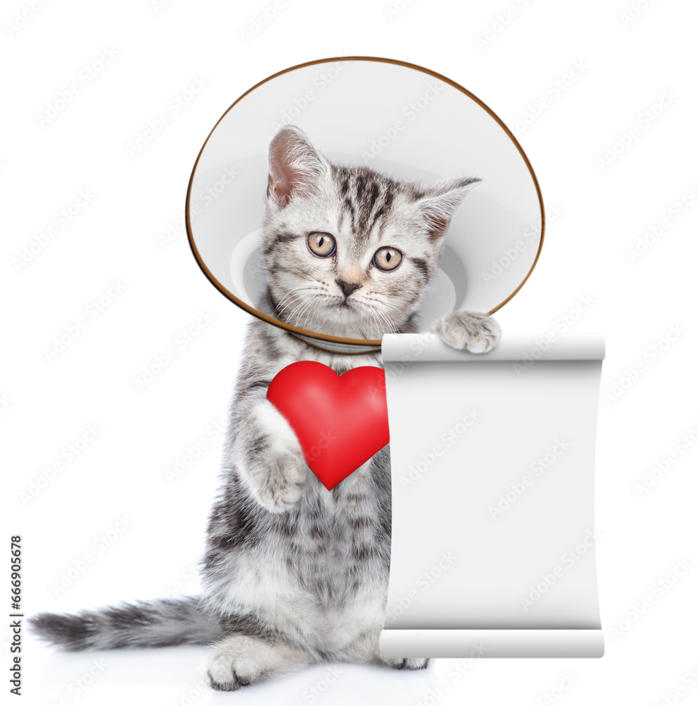 Poster Cute tabby kitten wearing protective cone collar looking at camera, holds red heart and shows empty list. Isolated on white background