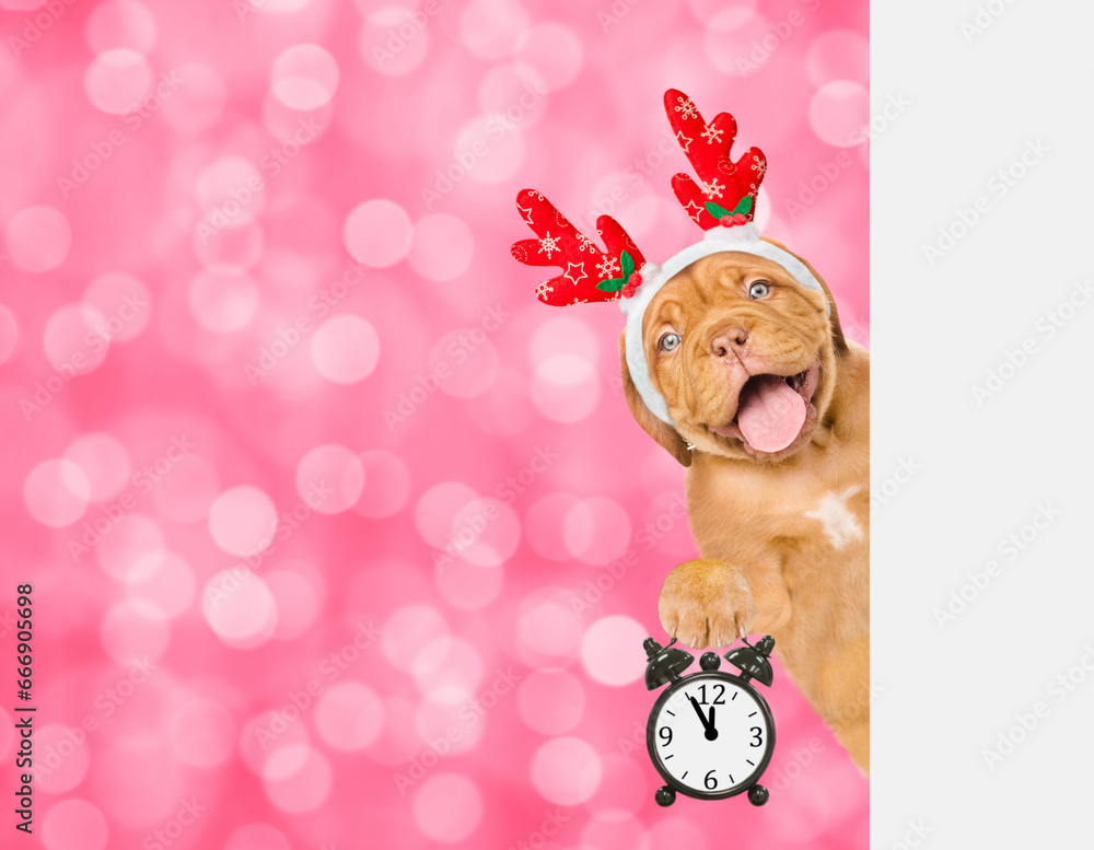 Poster happy mastiff puppy dressed like santa claus reindeer rudolf looking from behind empty white banner 