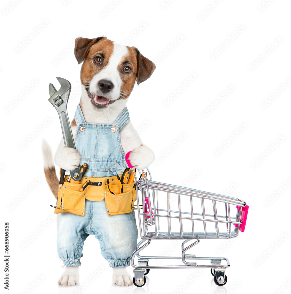 Poster funny jack russell terrier puppy wearing overalls with tool belt holds adjustable wrench pushing the