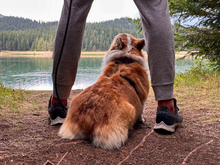 Man stands and admires the mountain lake, between his legs sits red dog corgi