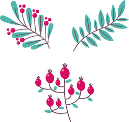 barberry branches with leaves and berries