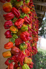 dried chillies hung on the roof