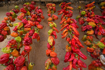 dried chillies hung on the roof