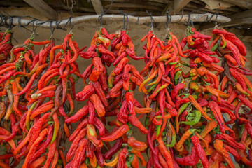 dried chillies hung on the roof