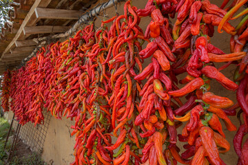 dried chillies hung on the roof