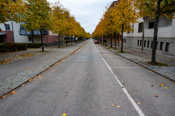 Hagendalroad in Kumla with autumn colored trees