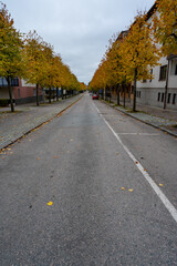 Hagendalroad in Kumla with autumn colored trees