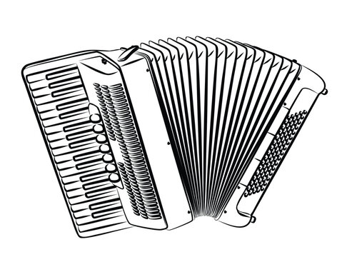 The sketch of a classical accordion.
