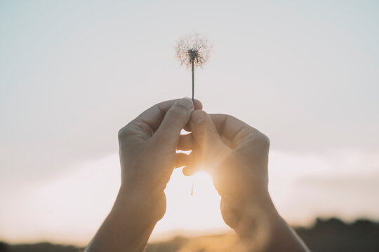Woman hands raising up a dandelion flower against the sky. Nature and people lifestyle. Daydreaming and hope. Feeling and happiness. Soft and love. Romantic image with nature. Freedom environment