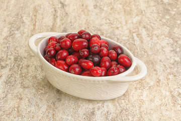 Ripe sweet tasty cranberry in the bowl