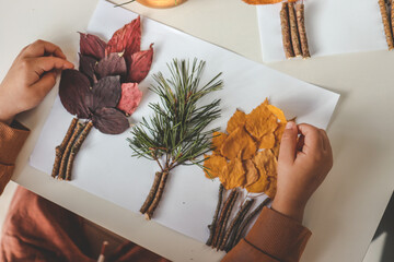 Children's creativity, child's study of natural materials, application top view