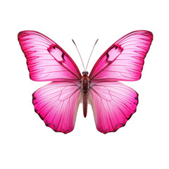 Pink butterfly isolated on transparent background,transparency 