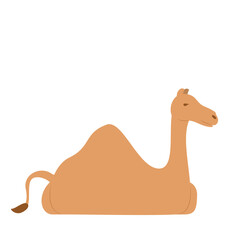 Sitting Brown Camel | Eid Adha Edition